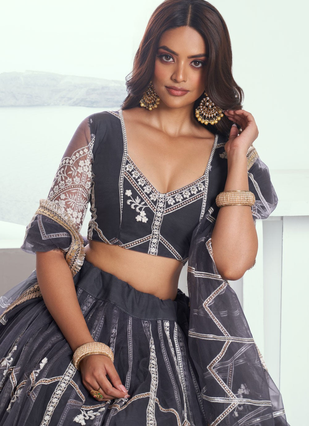 Embroidered Net Black A - Line Lehenga L3773