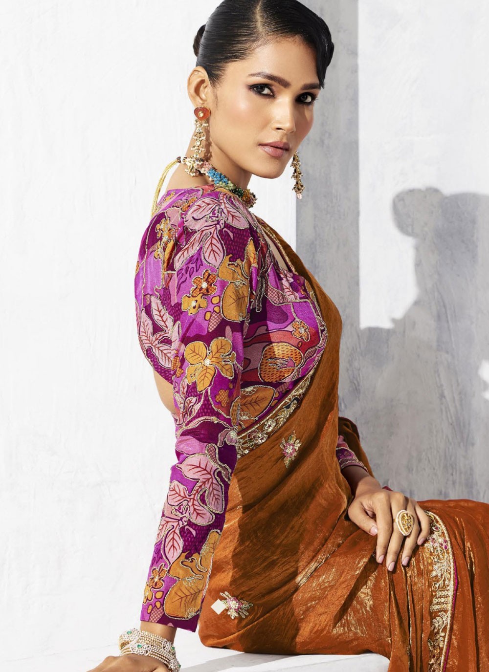 Brown Fancy Fabric Traditional Saree Border Work, Embroidered S19808