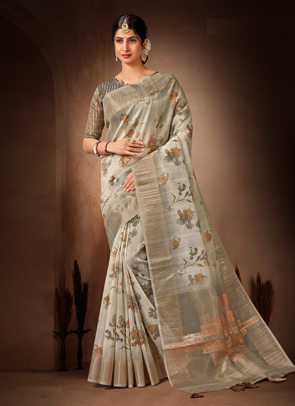 Classic Printed Organza, Tissue Saree - S4482