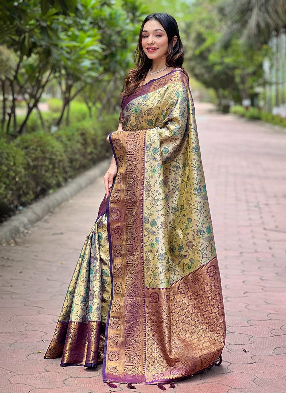Traditional Meenakari Silk Saree - S8024