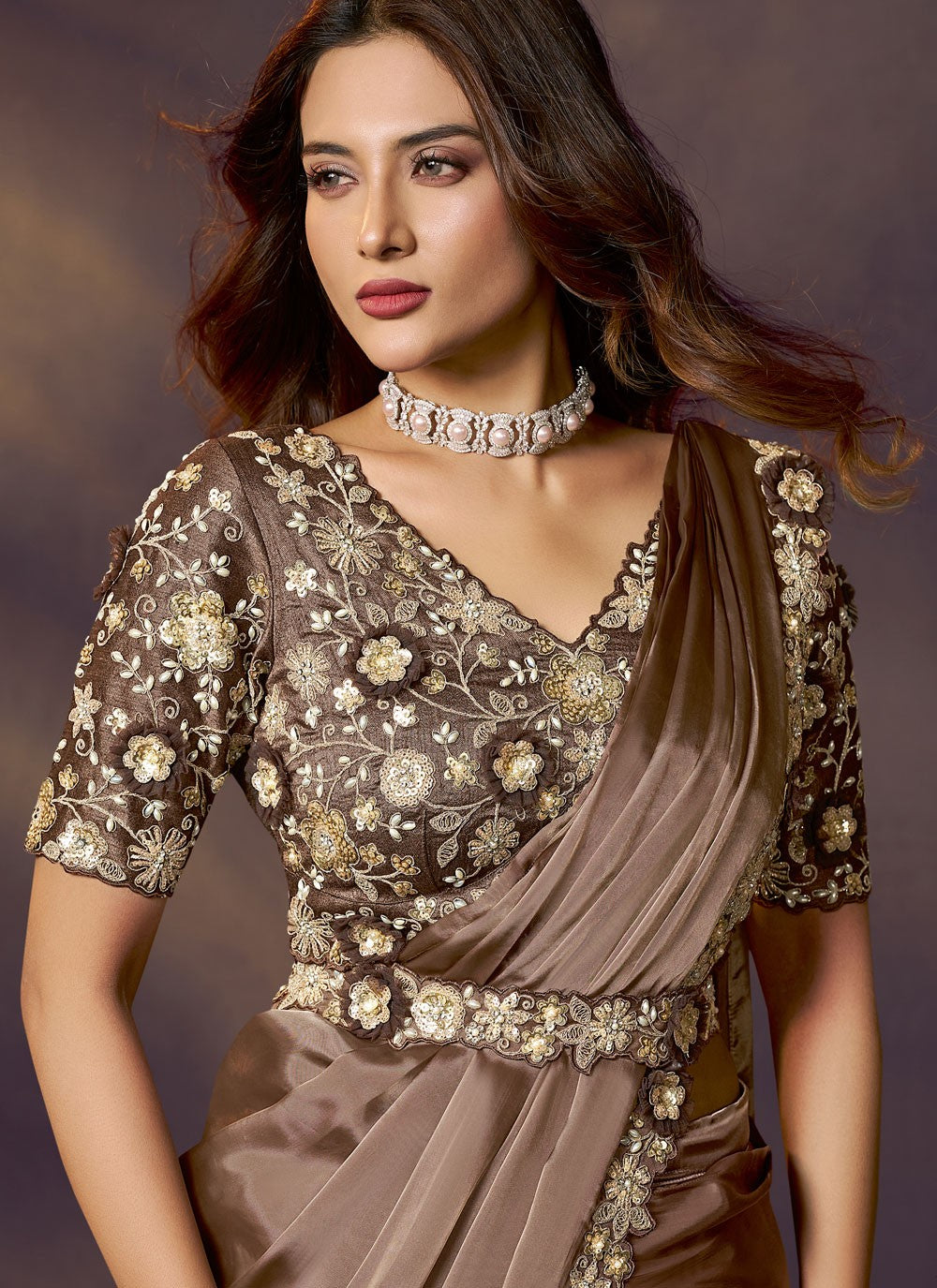 Brown Silk Traditional Saree Embroidered, Sequins S20473