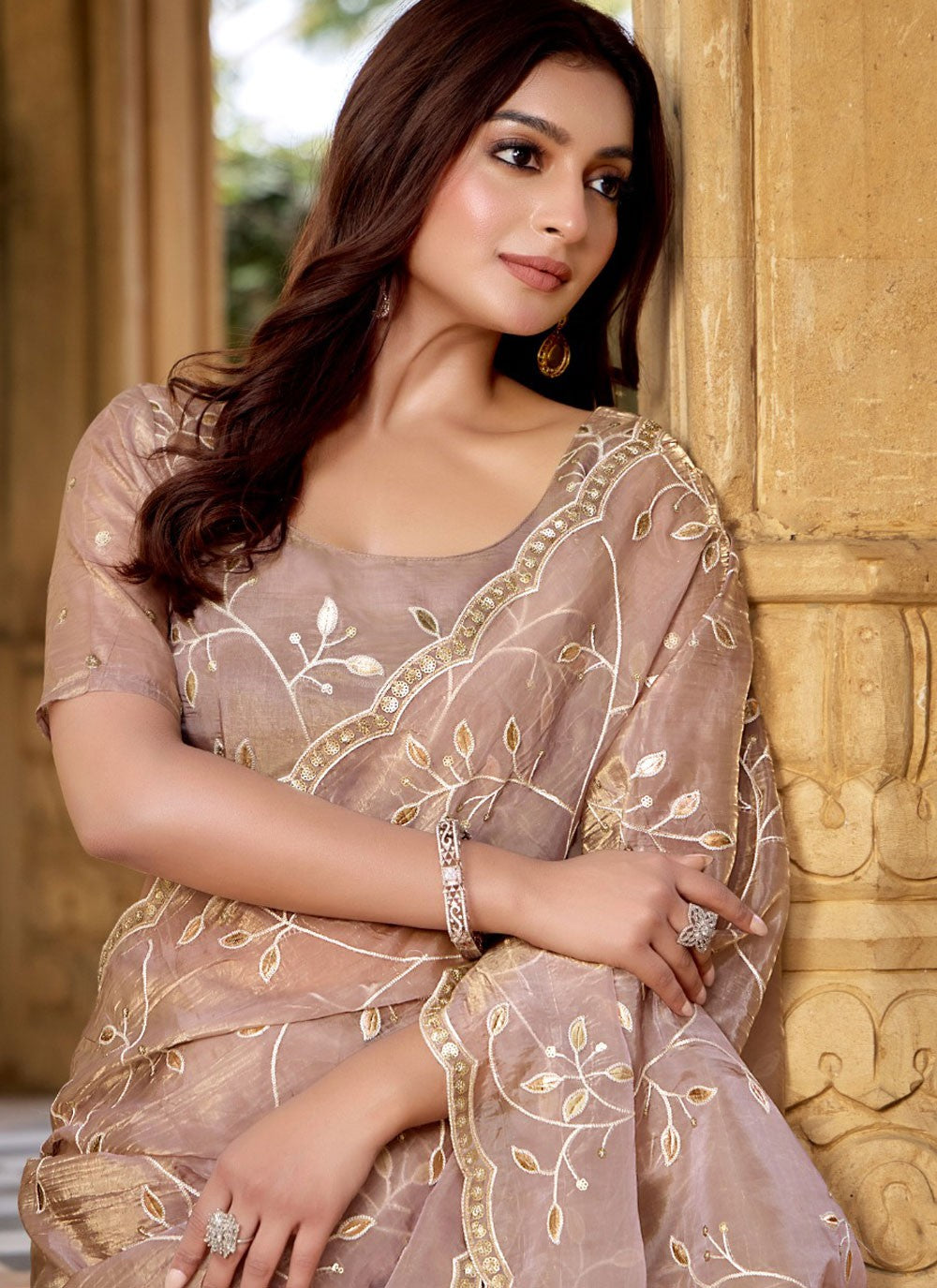 Traditional Embroidered Beige, Brown Silk Saree S13420