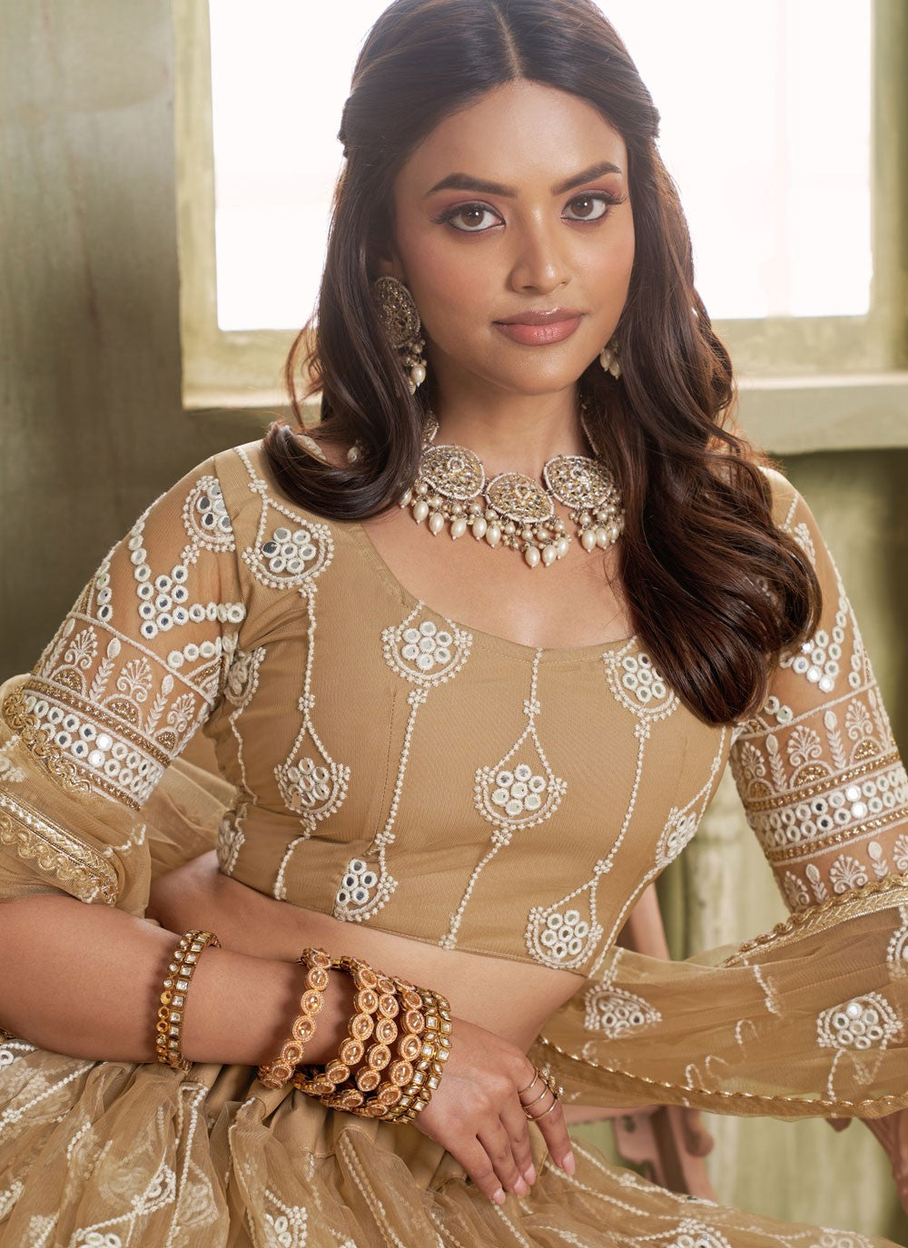 Embroidered Net Khaki Lehenga - L3309