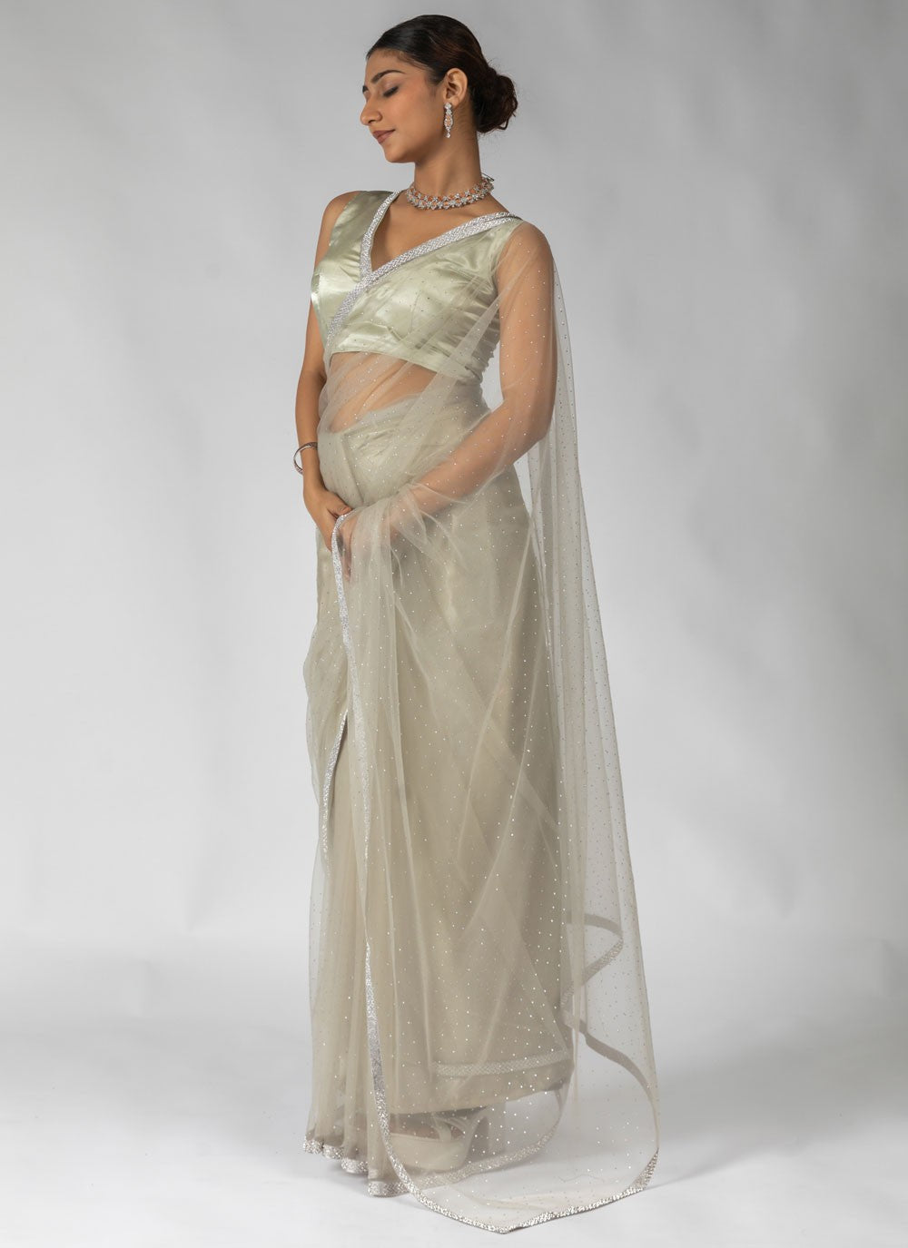 Lace Net Beige Traditional Saree S15606
