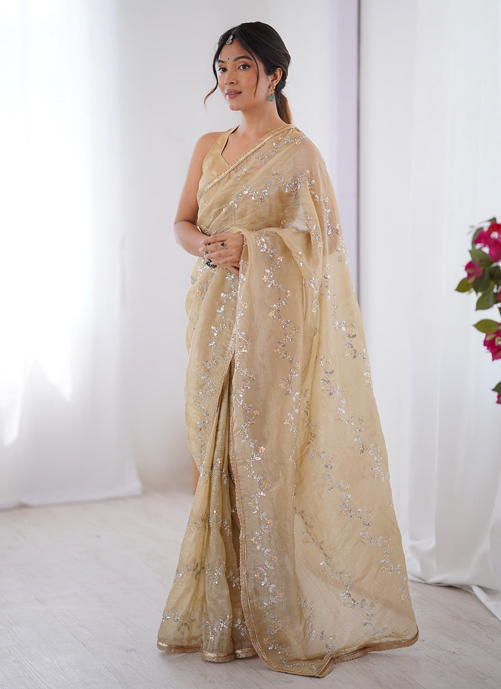 Beige Crush Classic Saree Beads, Moti, Sequins S16244