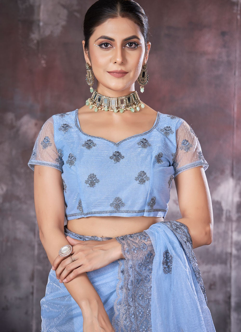 Classic Border Work Net, Organza Saree - S7536