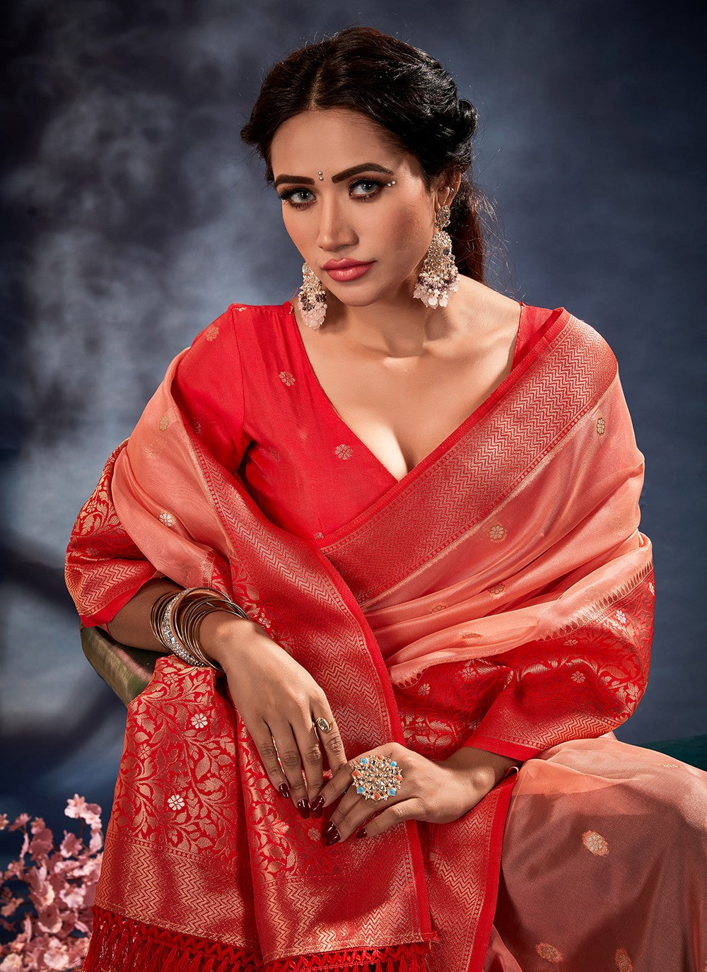 Classic Border Work Banarasi Silk, Organza Saree - S3309