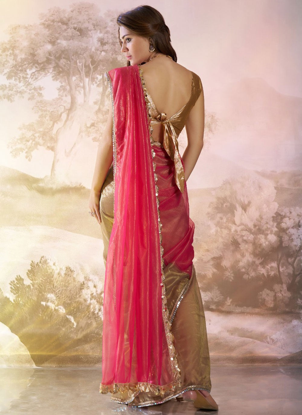 Traditional Border Work Brown, Hot Pink Net Saree S13520