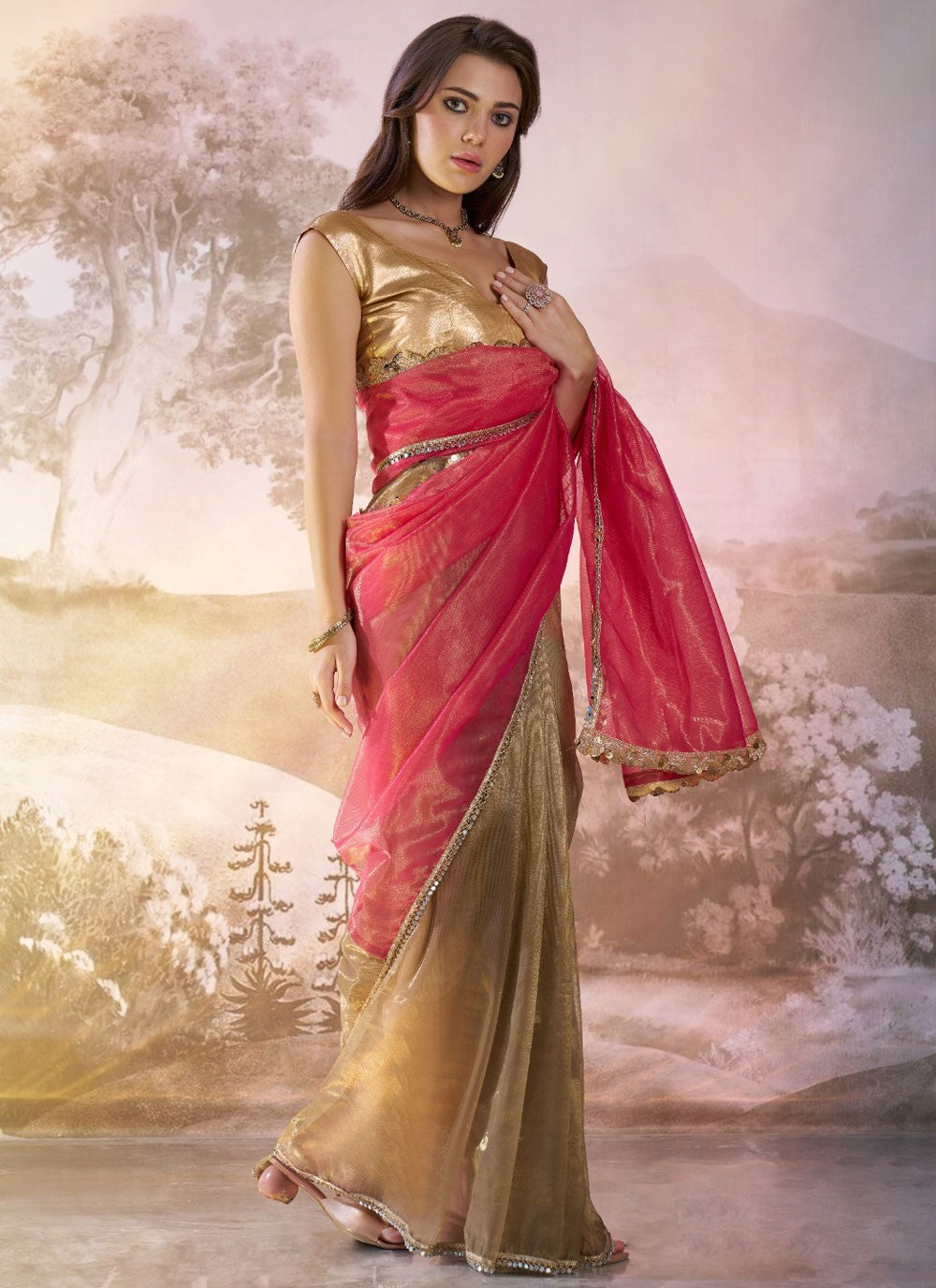 Traditional Border Work Brown, Hot Pink Net Saree S13520