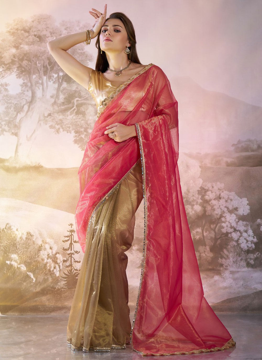 Traditional Border Work Brown, Hot Pink Net Saree S13520