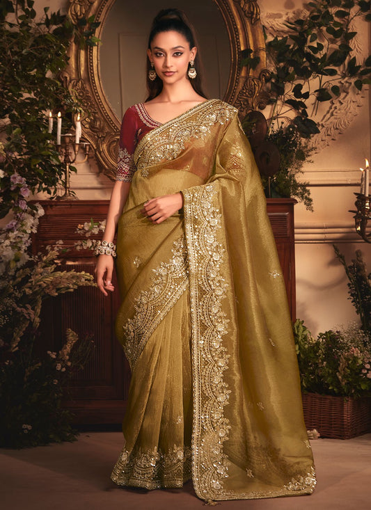 Brown Organza Traditional Saree Border Work, Cut Work, Embroidered, Sequins, Zari S19405