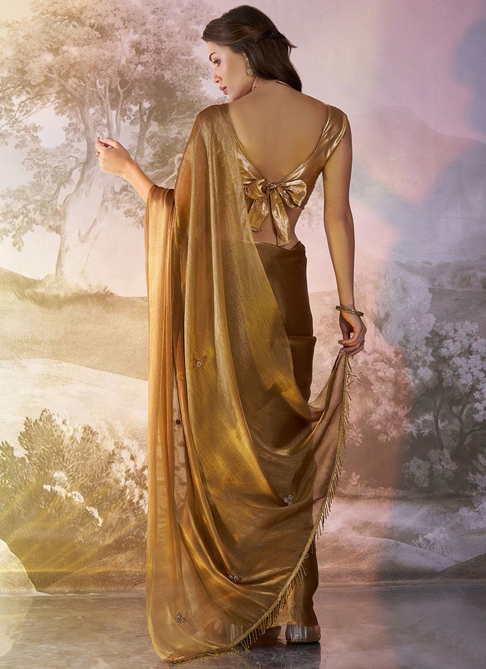 Contemporary Plain Brown Burburry Saree S13441
