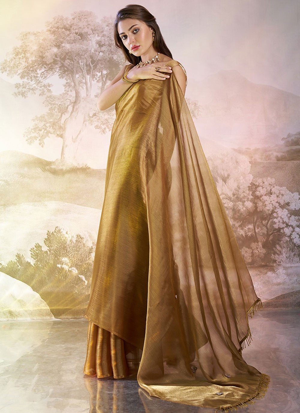 Contemporary Plain Brown Burburry Saree S13441