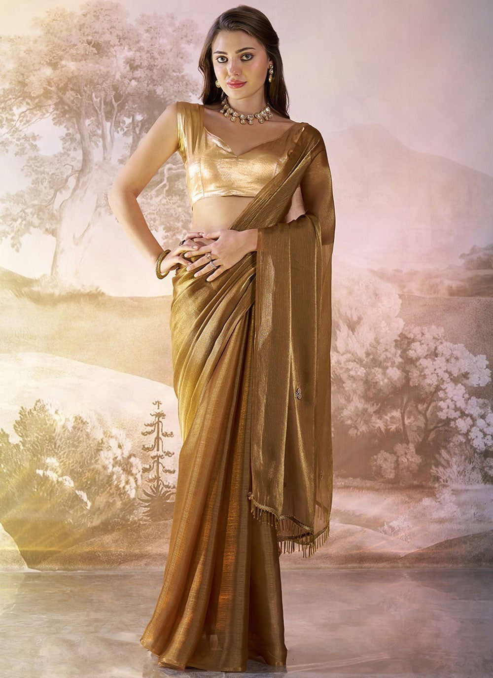 Contemporary Plain Brown Burburry Saree S13441