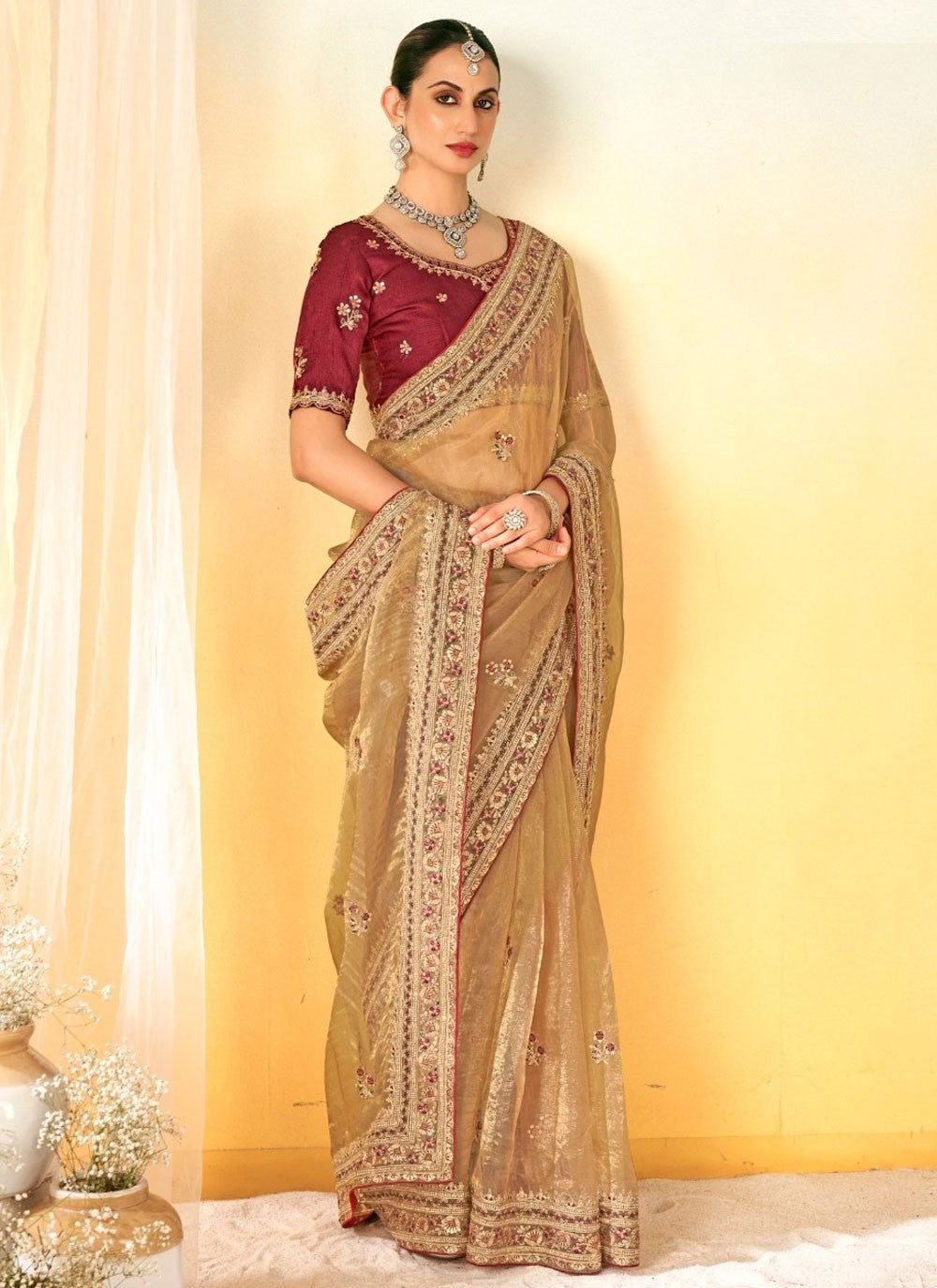 Border Work Tissue Brown Contemporary Saree S14942