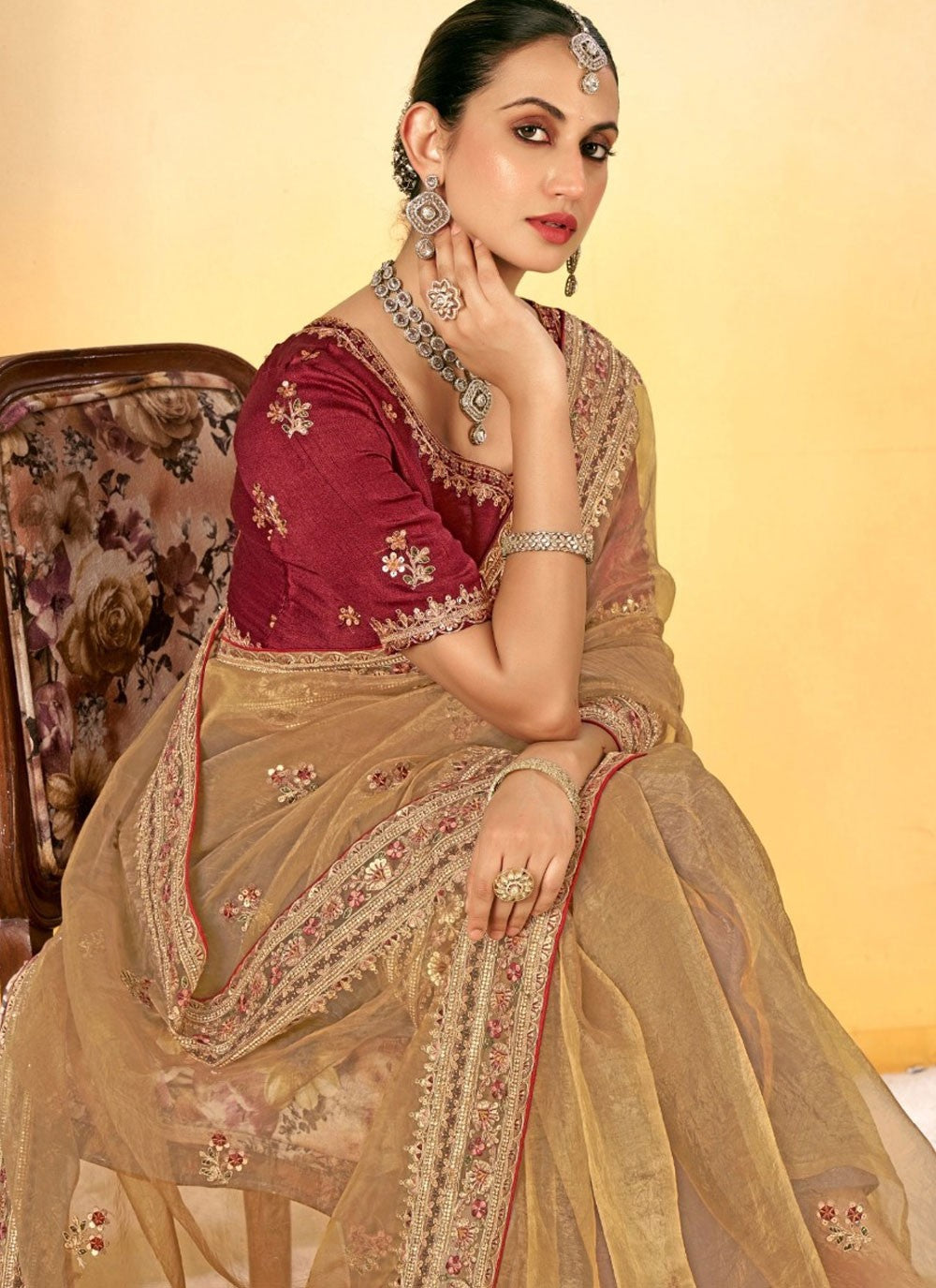 Border Work Tissue Brown Contemporary Saree S14942