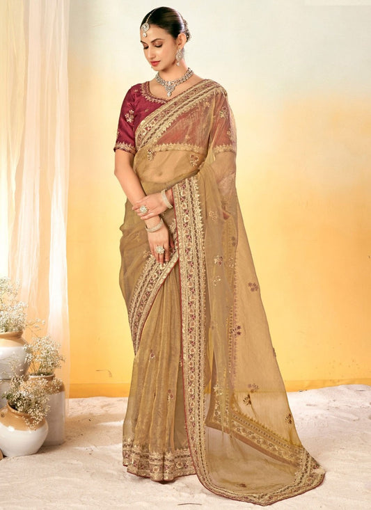 Border Work Tissue Brown Contemporary Saree S14942