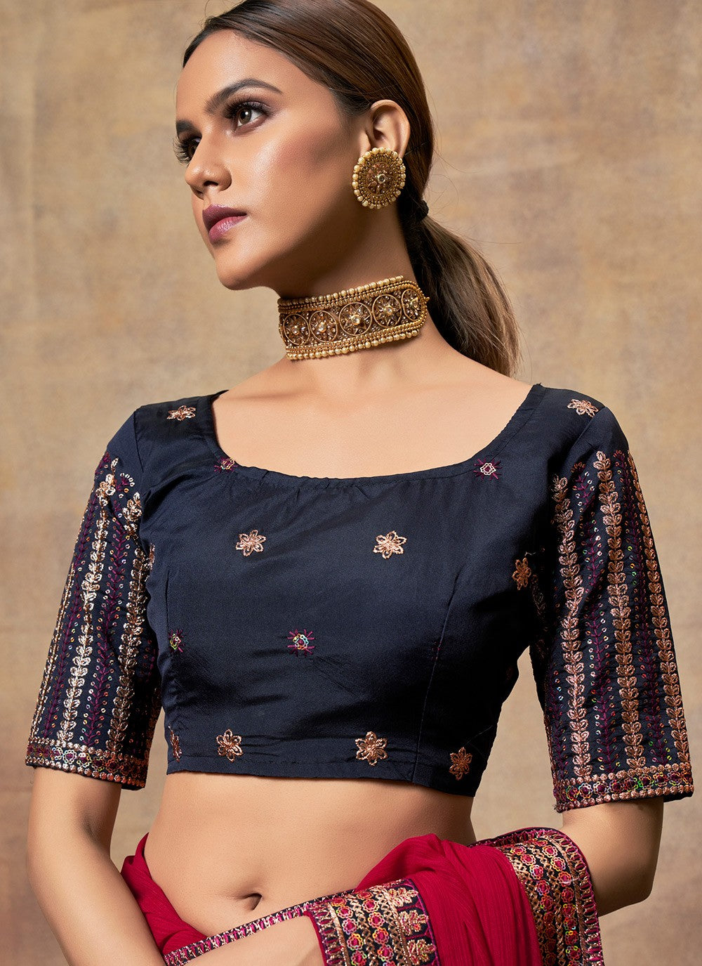 Traditional Embroidered Chiffon Saree - S6060