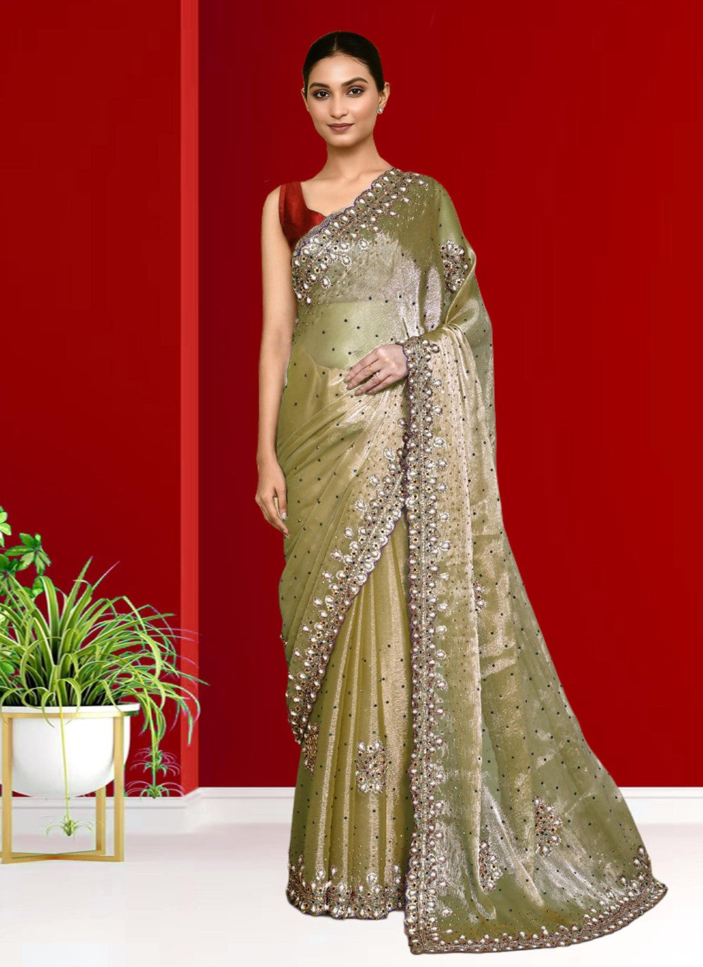 Hand Embroidery Jimmy Chu Beige Saree S14269
