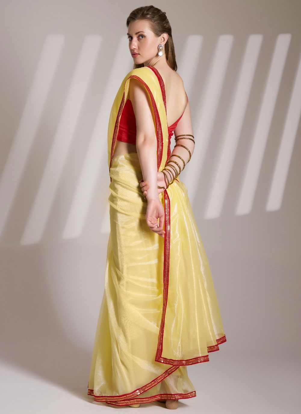 Classic Saree Border Work Cream Net Saree S13590