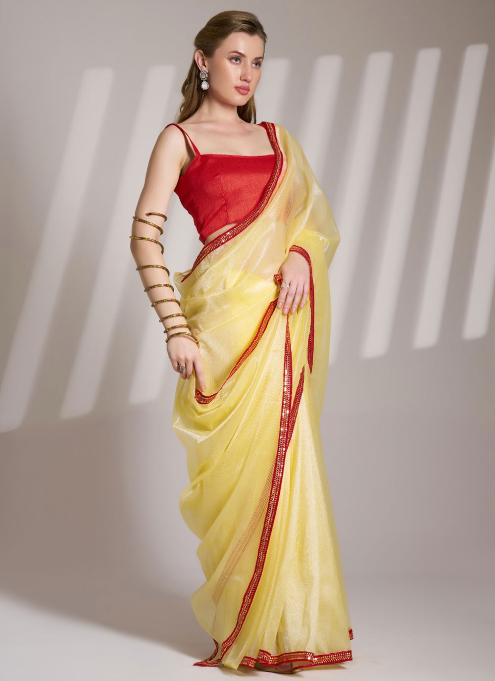 Classic Saree Border Work Cream Net Saree S13590