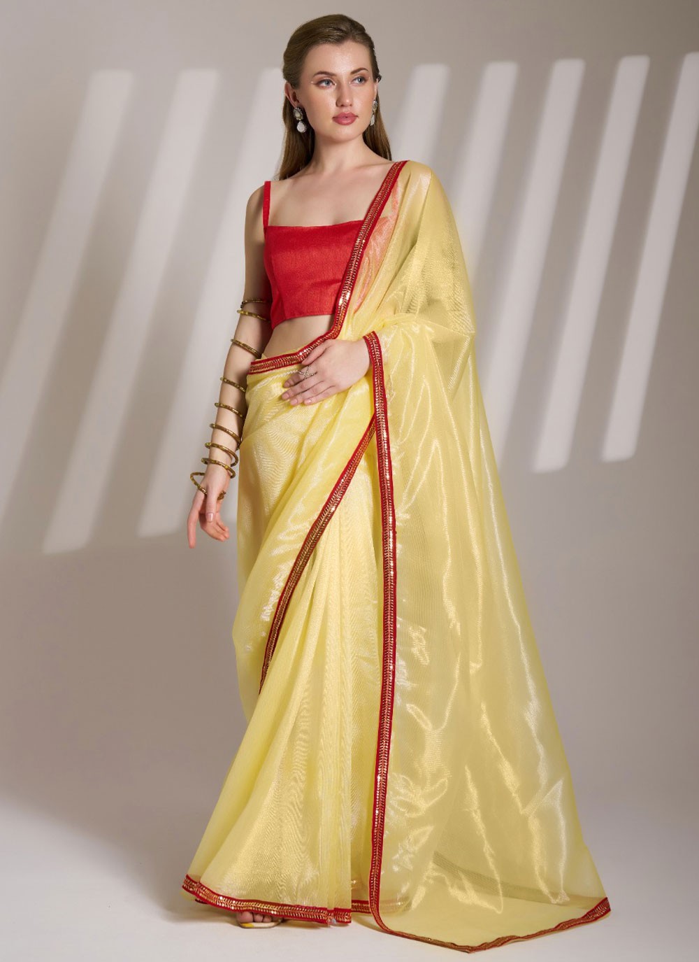 Classic Saree Border Work Cream Net Saree S13590