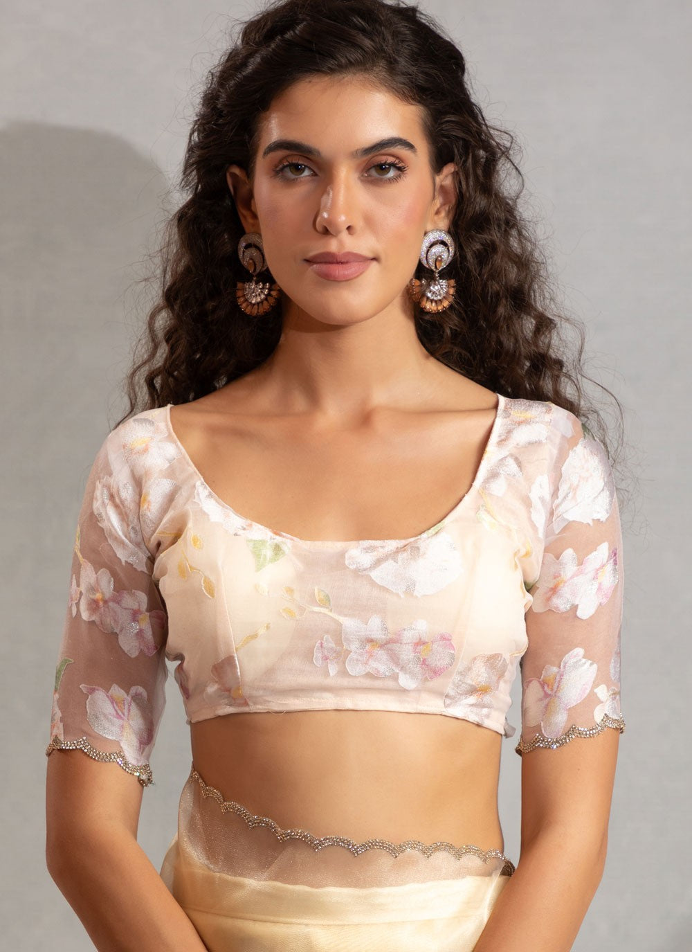 Cream Organza Classic Saree Zircon S17630