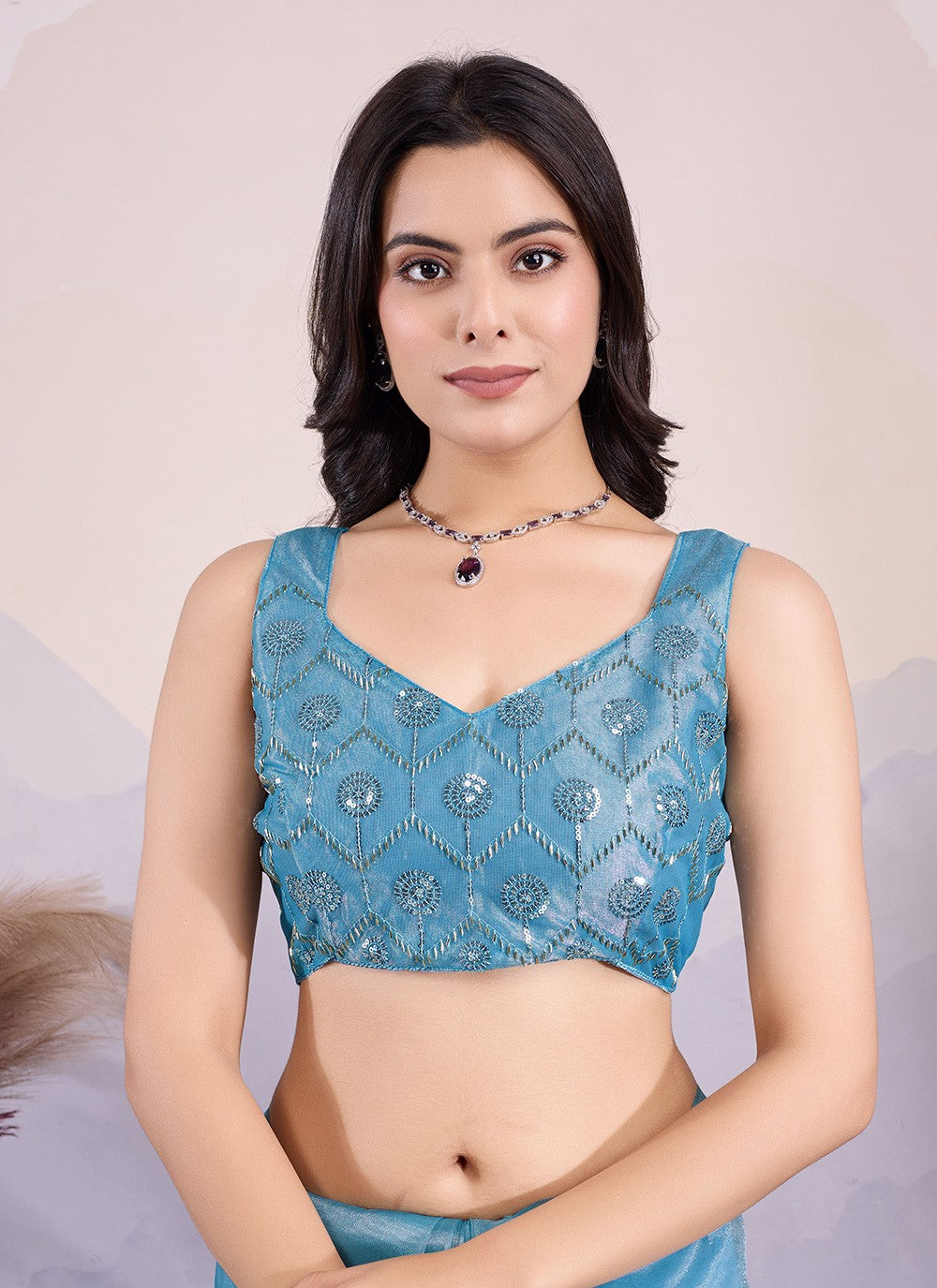 Classic Embroidered Net Saree - S8545
