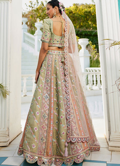 Embroidered Net Multi Colour Lehenga - L3350