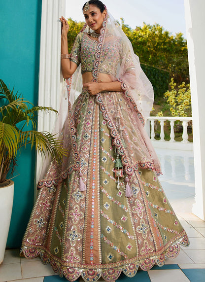 Embroidered Net Multi Colour Lehenga - L3350