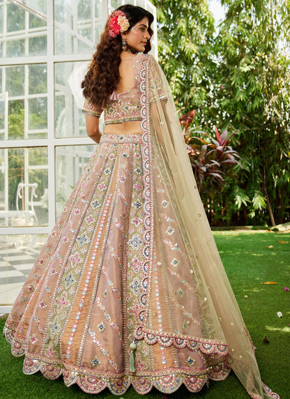 Embroidered Net Multi Colour Lehenga - L3351