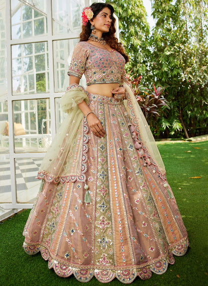 Embroidered Net Multi Colour Lehenga - L3351