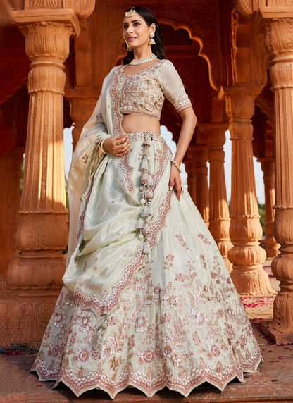 Tissue Engagement, Mehandi & Sangeet, Reception, Wedding A - Line Lehenga L3531