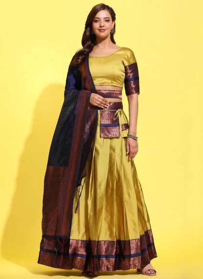 Woven Silk A - Line Lehenga - L2491