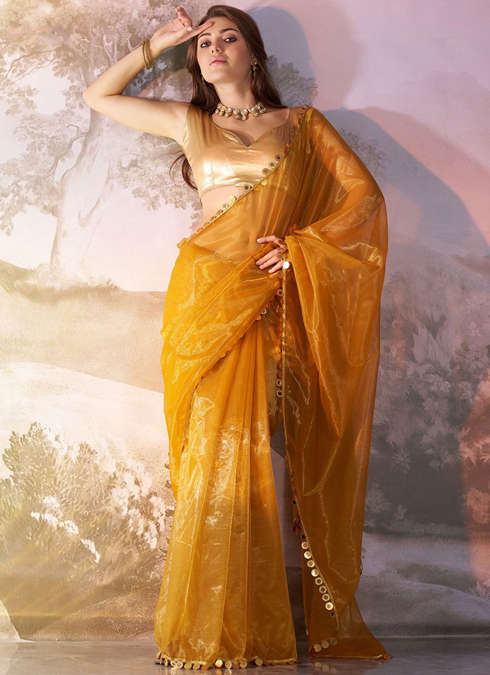 Contemporary Border Work Gold Net Saree S13527