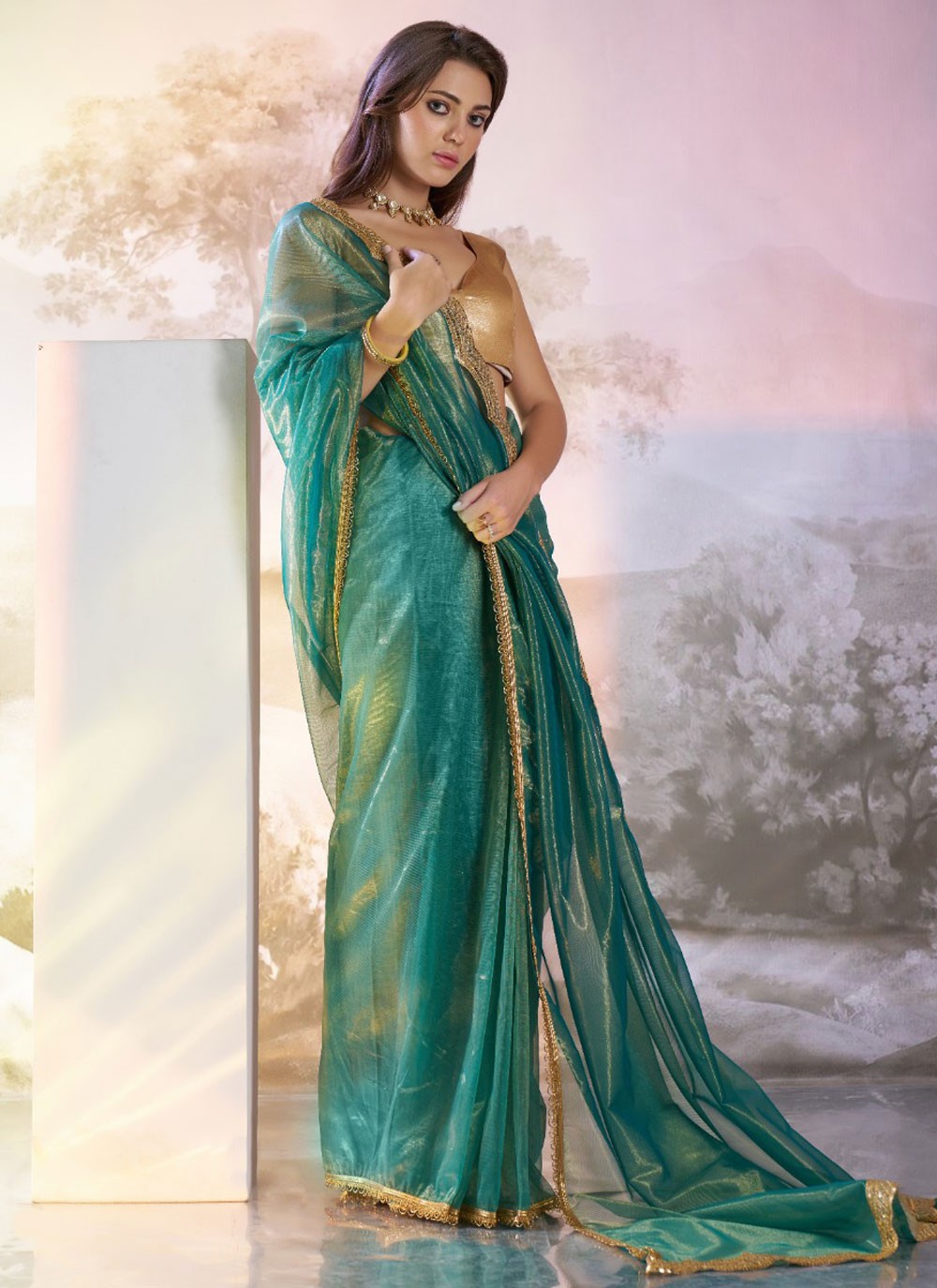 Contemporary Border Work Green, Teal Net Saree S13518