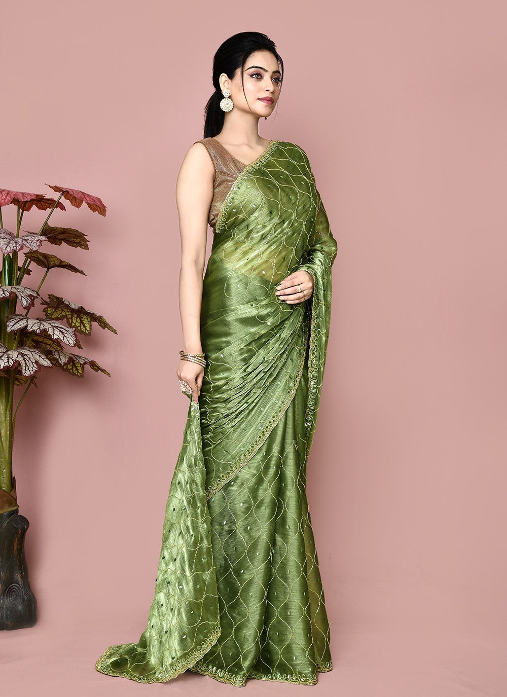 Classic Hand Embroidery Jimmy Chu Saree - S9359
