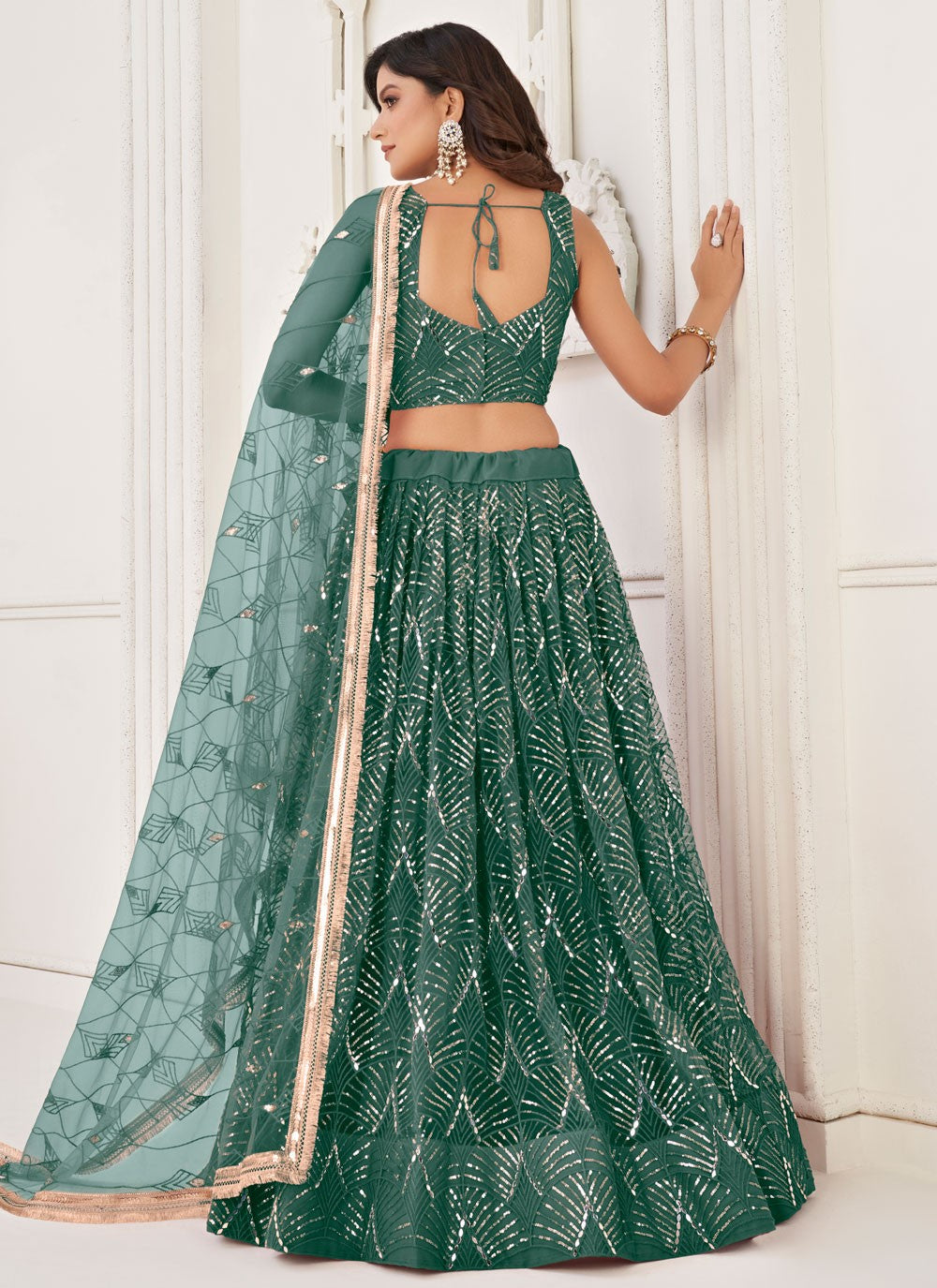 Embroidered Net A - Line Lehenga - L1492