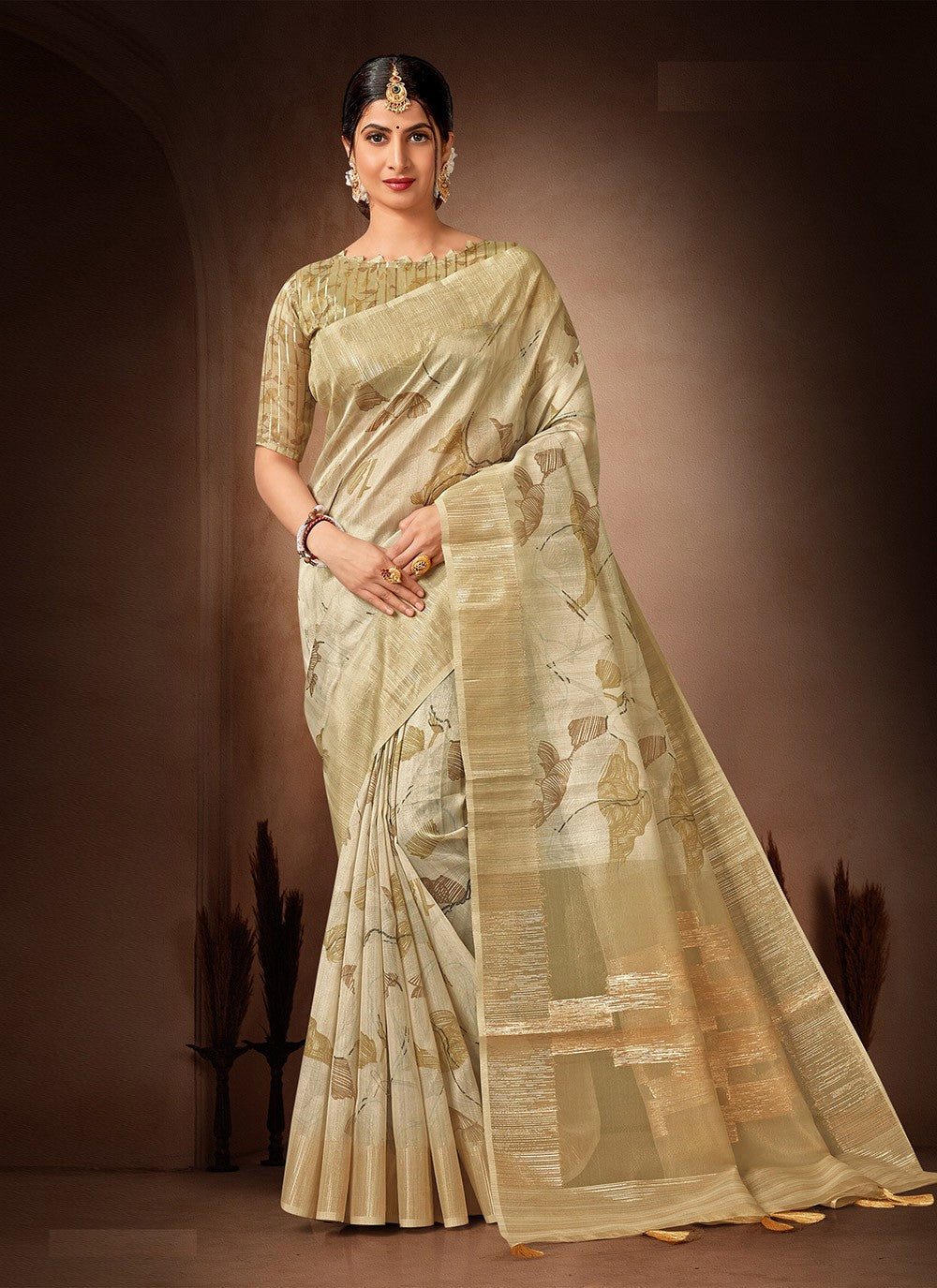 Classic Printed Organza, Tissue Saree - S4482