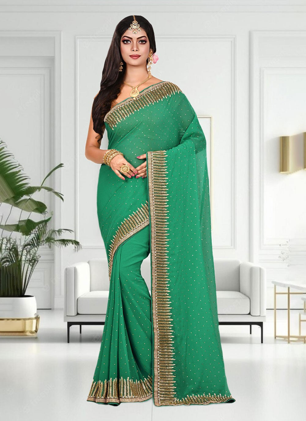 Classic Hand Embroidery Brasso Saree - S4738