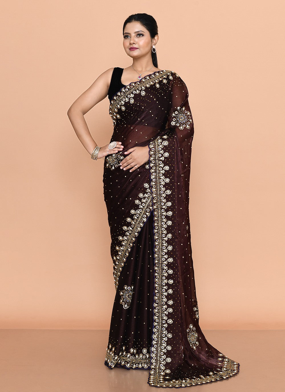 Contemporary Hand Embroidery Brown Jimmy Chu Saree S13141