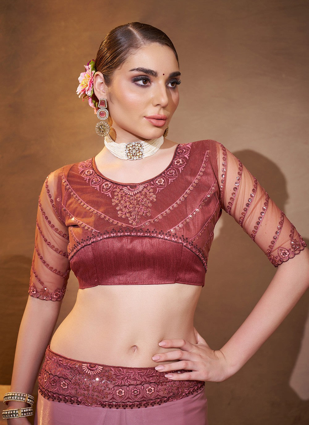 Embroidered Jimmy Chu Brown Saree S14729