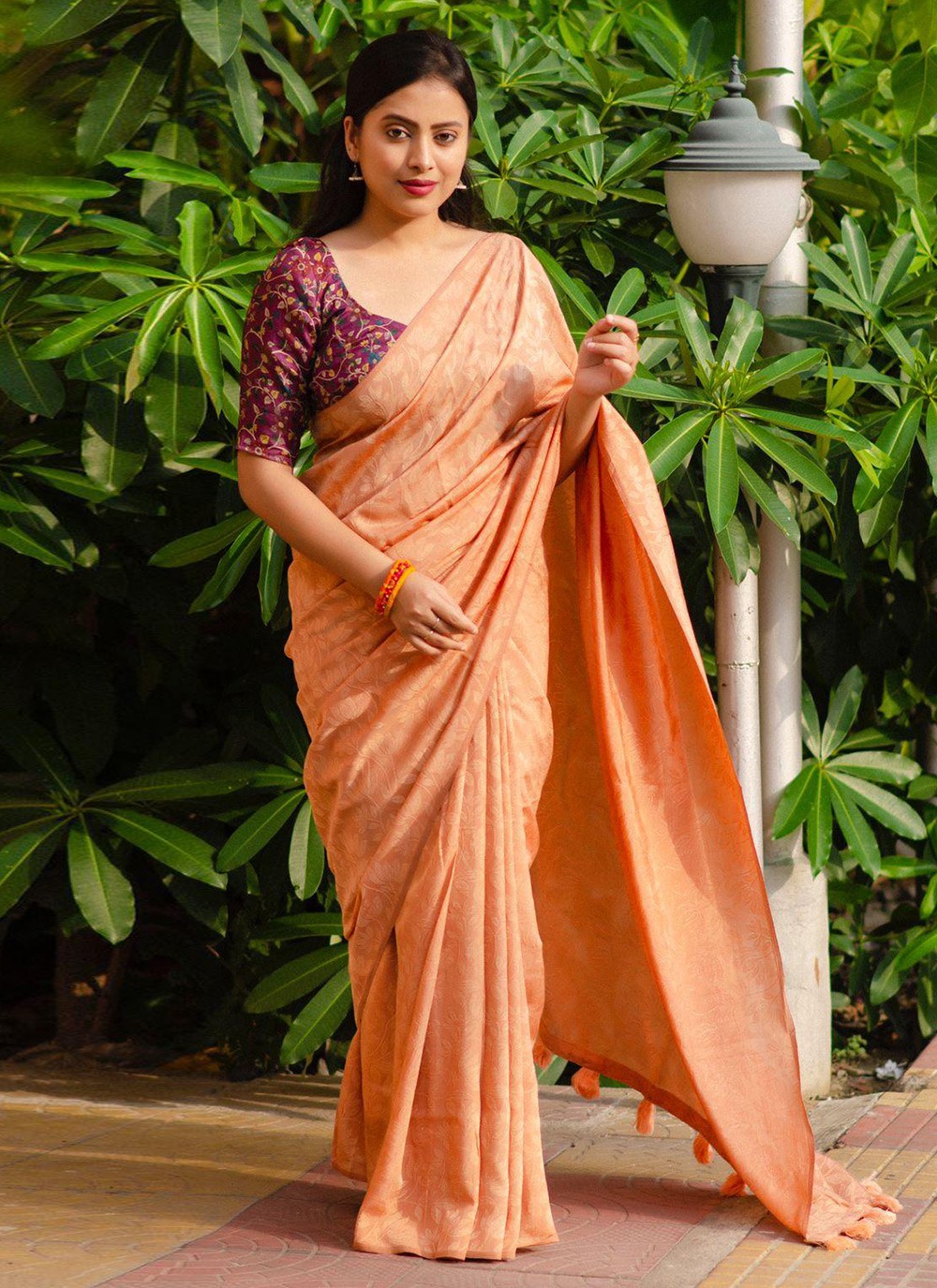 Trendy Fancy Work Chiffon Saree - S5752