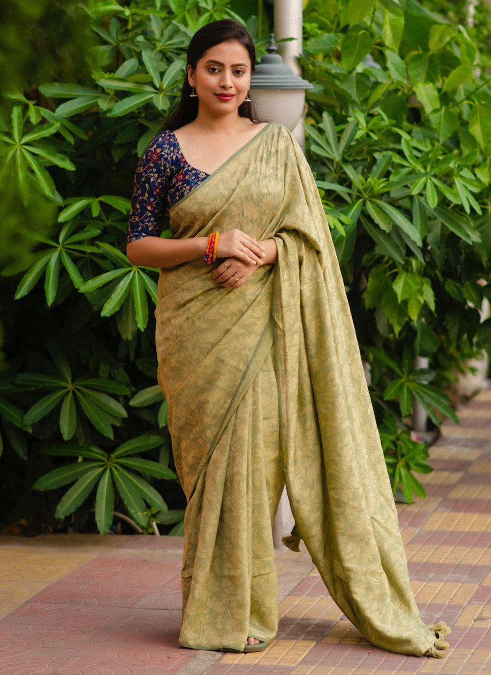 Trendy Fancy Work Chiffon Saree - S5752
