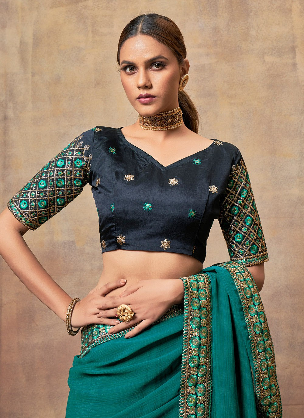 Traditional Embroidered Chiffon Saree - S6060