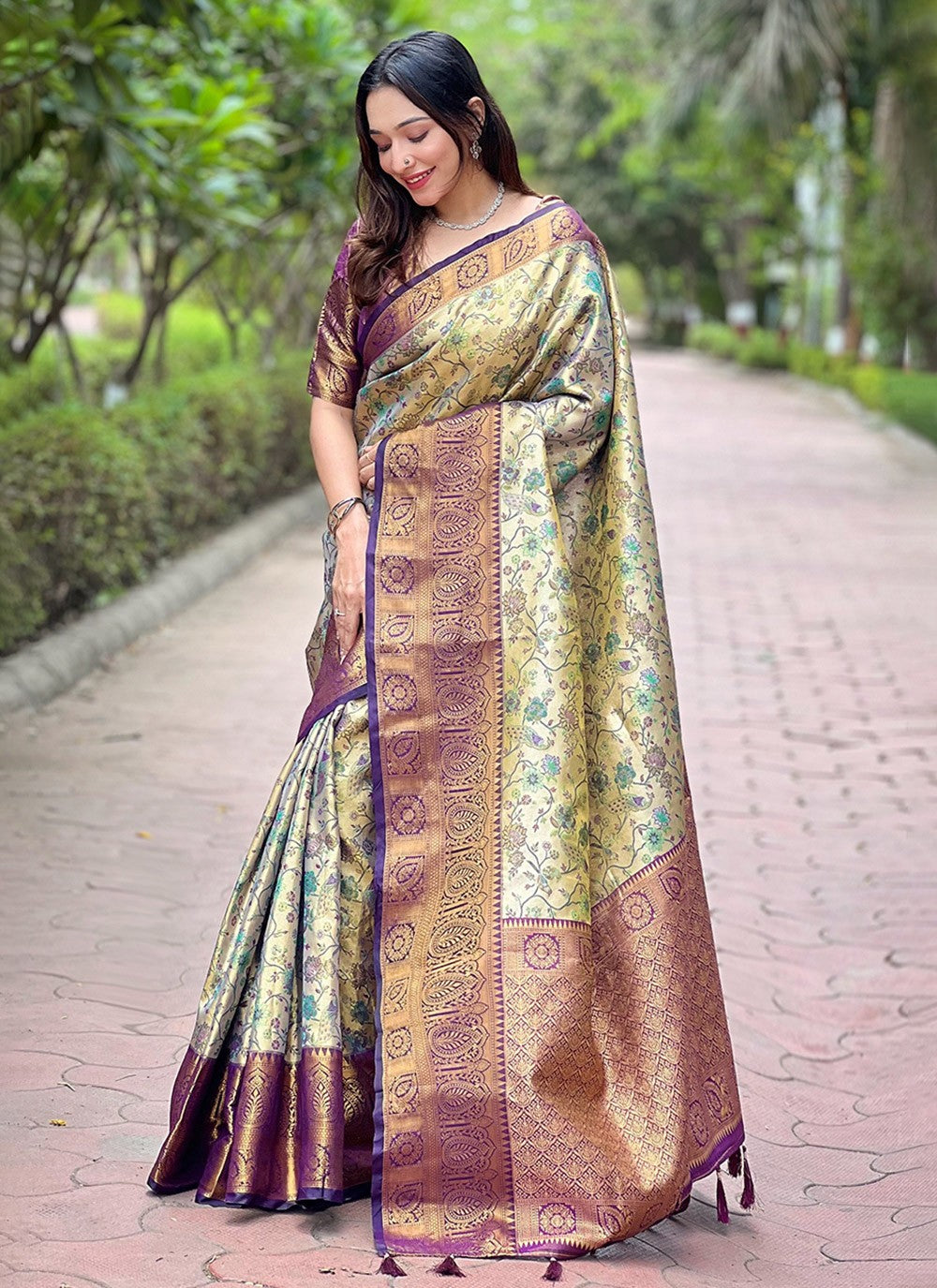 Traditional Meenakari Silk Saree - S8024