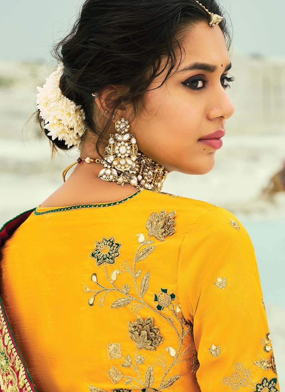 Multi Colour Pure Georgette Classic Saree Bandhej, Cutdana, Embroidered, Fancy Work, Moti, Zari S19128