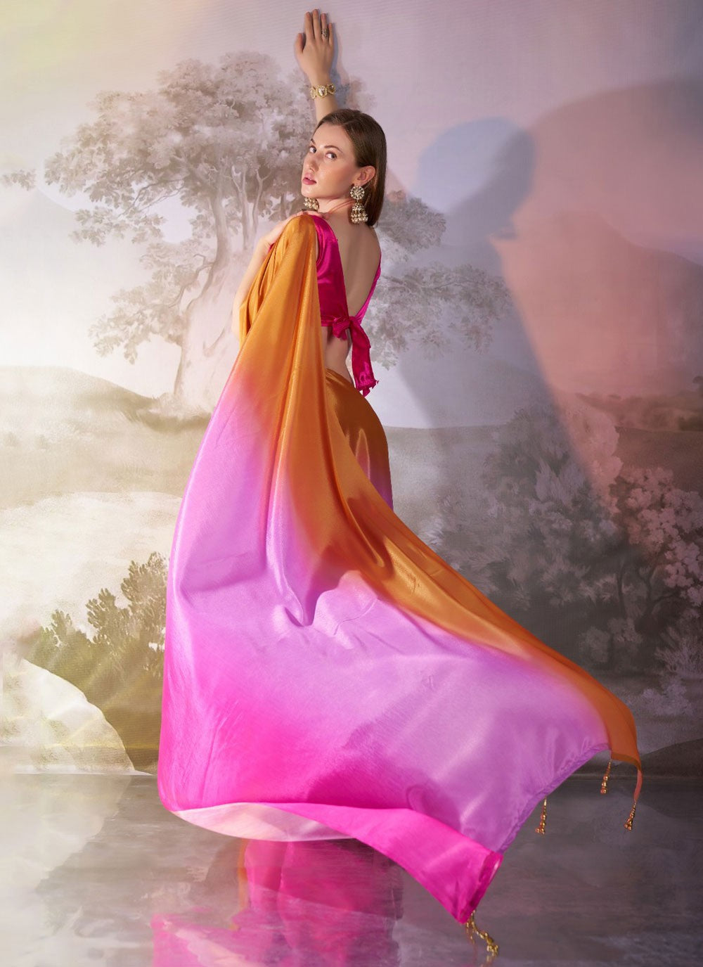 Lace Chiffon Multi Colour Saree S13735
