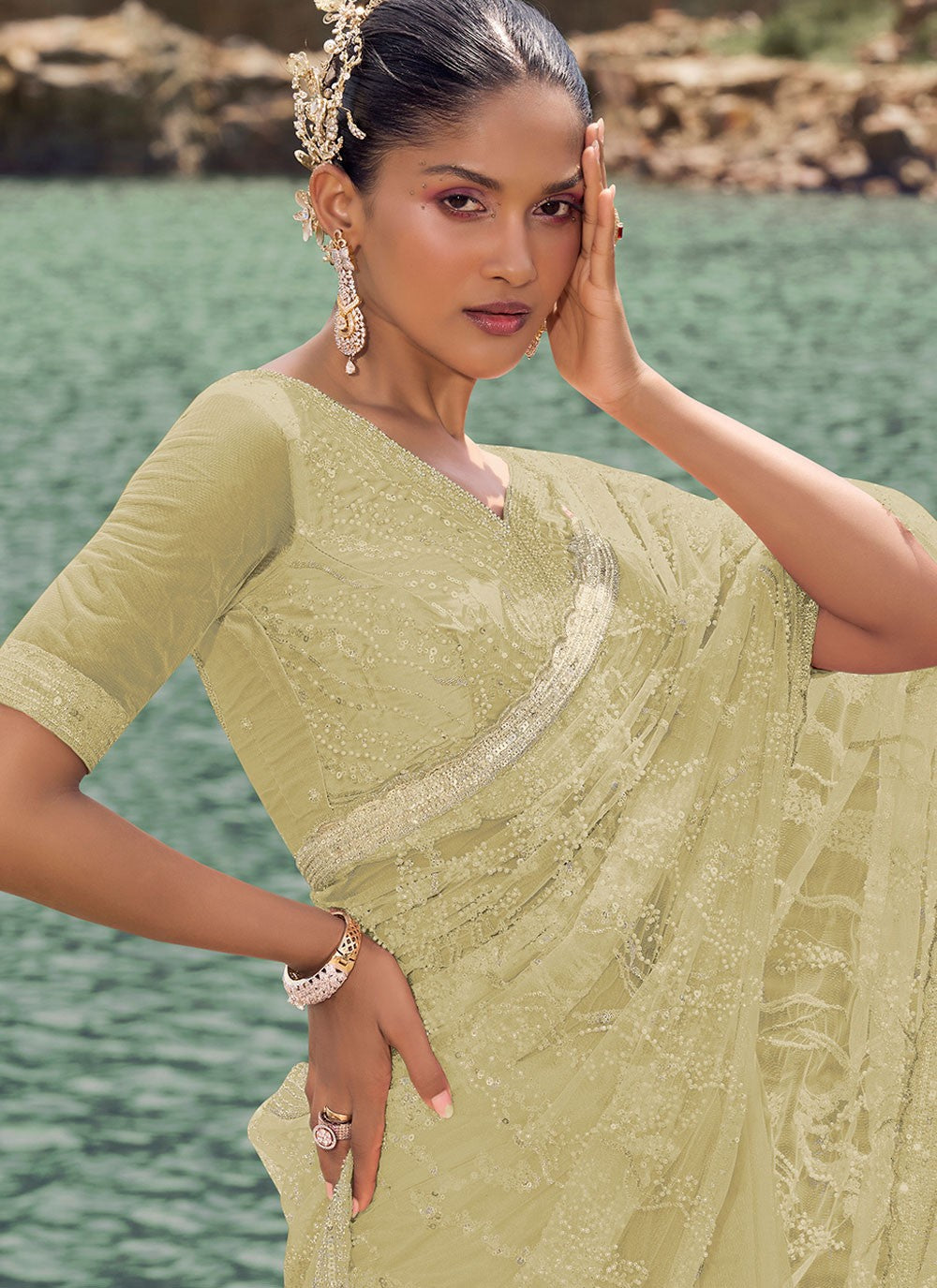 Classic Beads Net Saree - S8180