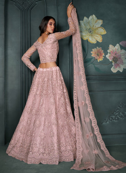 Embroidered Net A - Line Lehenga - L2216